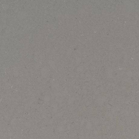 Fossil Gray Quartz Countertop Example