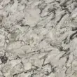 Bellingham quartz countertop